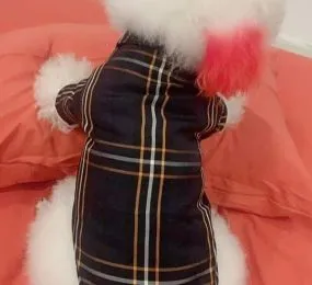 ÁO SƠ MI LỤA SỌC