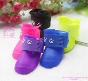 GIÀY ĐI MƯA CHO CHÓ MÈO