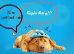 CÚN NHÀ BẠN TIÊU CHẢY LÀ DO ĐÂU ?