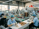 Xưởng Gia Công Pet Products OEM/ODM Việt Nam: Đối Tác Tin Cậy Cho Brand Toàn Cầu